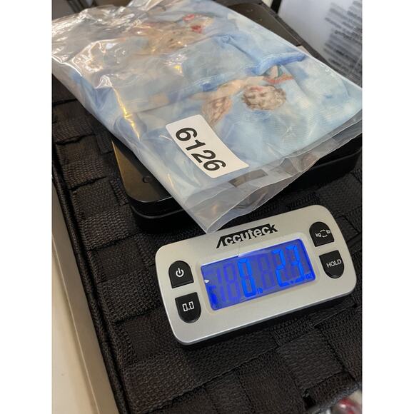 Y2K Angelcore Celestial Coquette Fairy Baddie Sheer Mesh Crop Top M Cherub Artsy - Picture 14 of 14